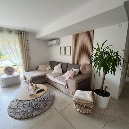 Appartement Climatise Avec Terrasse Cagnes-sur-Mer