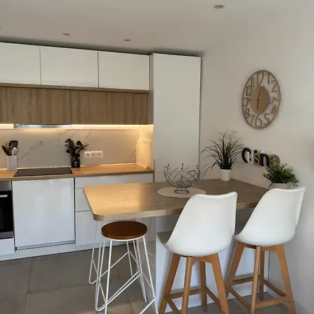 Appartement Climatise Avec Terrasse Cagnes-sur-Mer