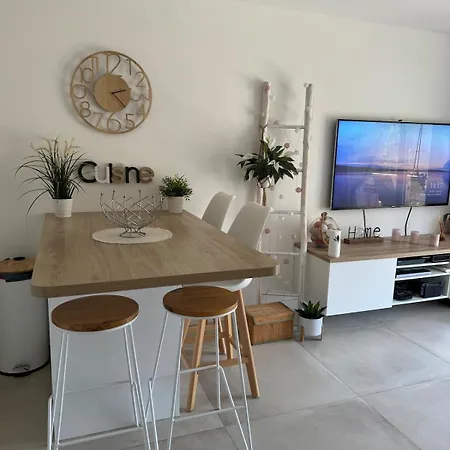 Appartement Climatise Avec Terrasse Cagnes-sur-Mer